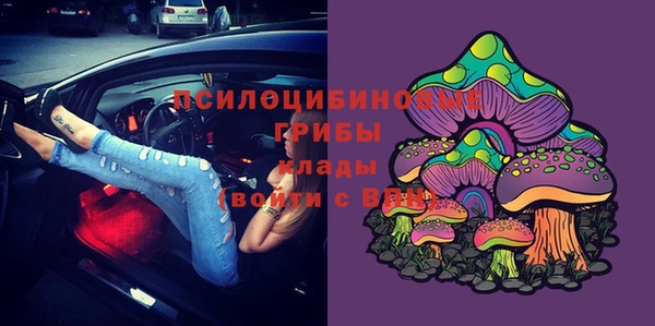 дурь Михайловка